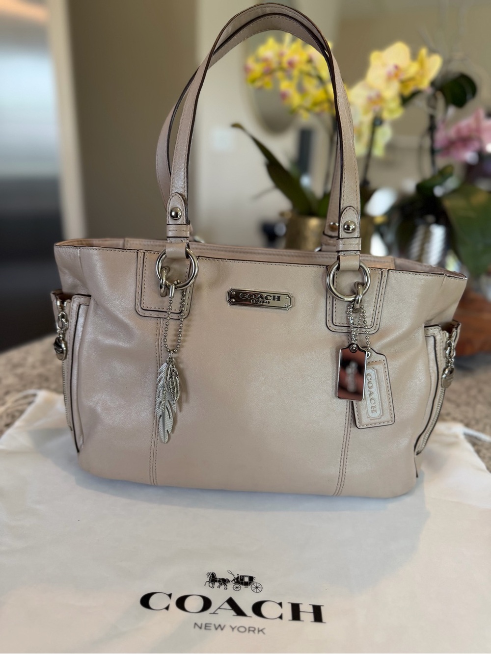 Coach Gallery East West Tote - 19252 - Picture 2 of 8